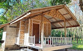 Sofee Homestay
